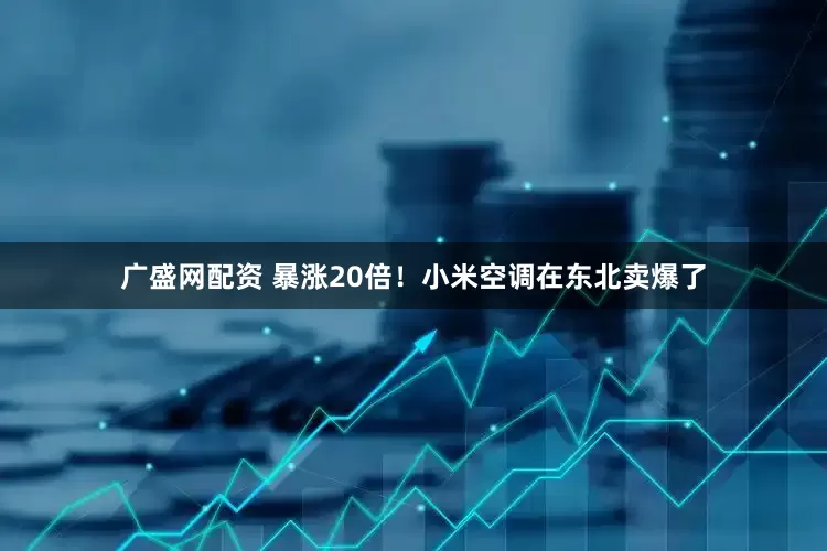 广盛网配资 暴涨20倍！小米空调在东北卖爆了